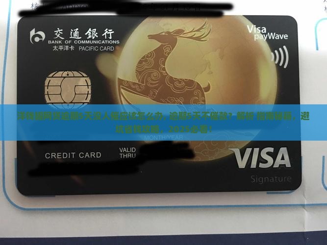 洋钱罐网贷逾期5天没人催应该怎么办
