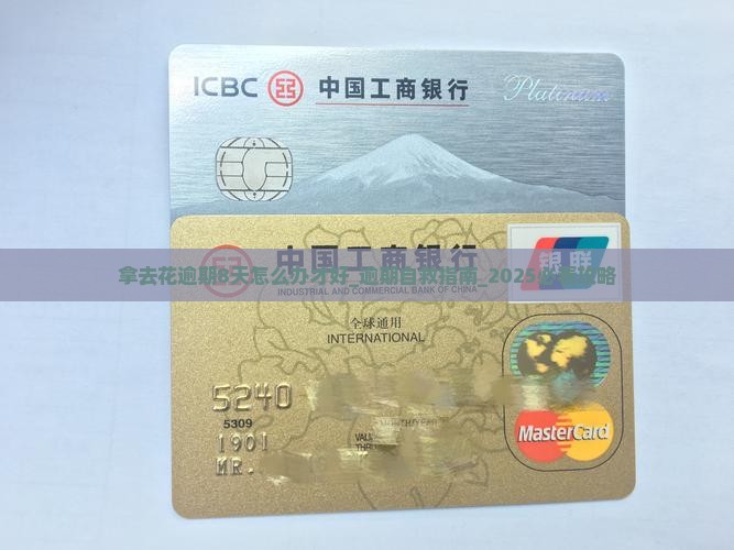 拿去花逾期8天怎么办才好 拿去花逾期8天怎么办才好