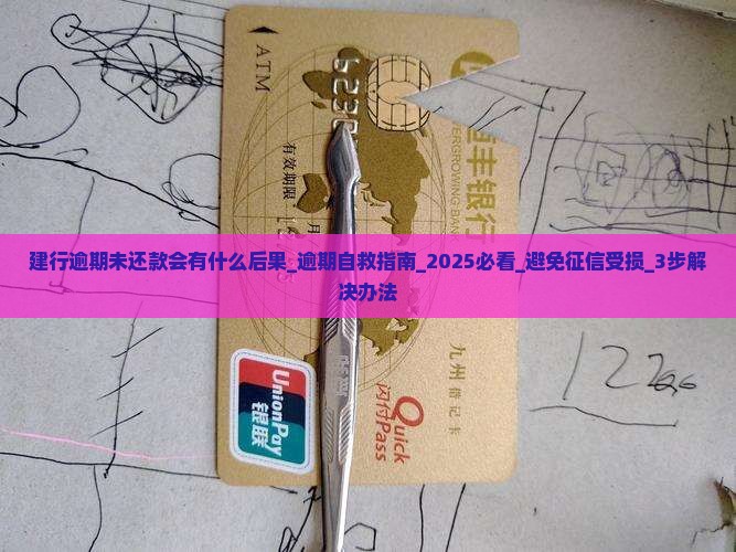 建行逾期未还款会有什么后果