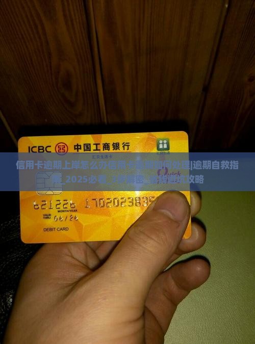 信用卡逾期上岸怎么办信用卡逾期如何处理