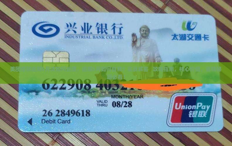 美团借款逾期5月该如何处理