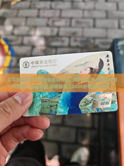 欠平安信用卡被起诉会怎样处理