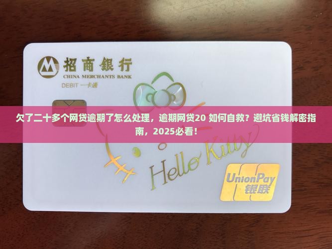 欠了二十多个网贷逾期了怎么处理 欠了二十多个网贷逾期了怎么处理