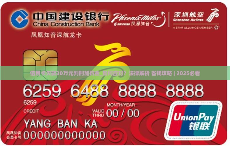 信用卡欠款30万元判刑加罚金