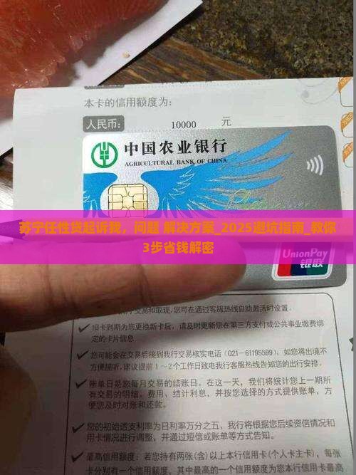 苏宁任性贷起诉我应该怎么办
