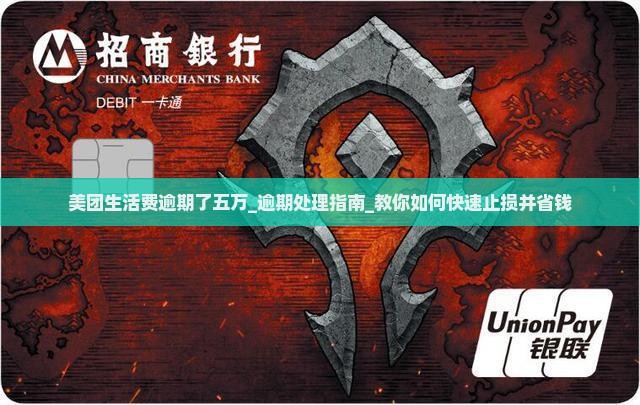 美团生活费逾期了五万