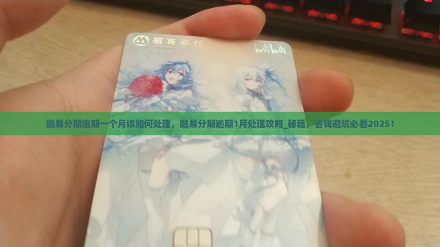 融易分期逾期一个月该如何处理