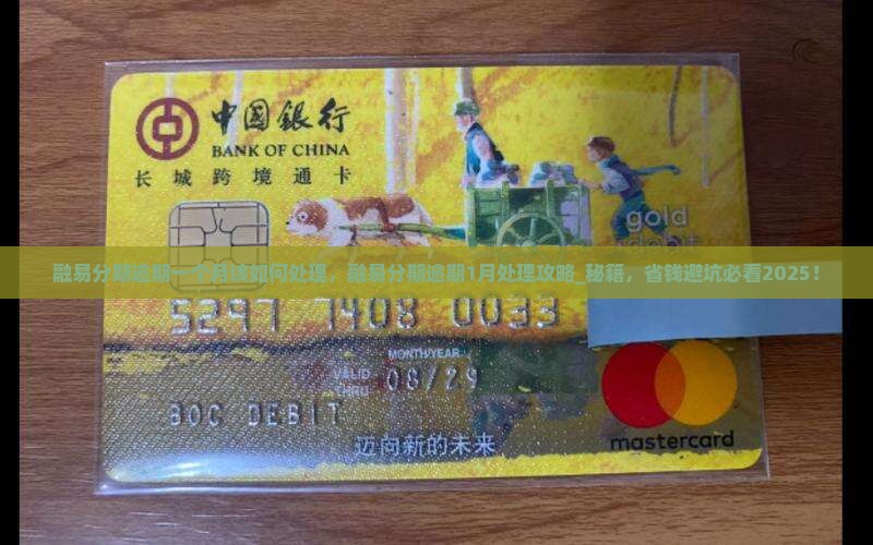融易分期逾期一个月该如何处理