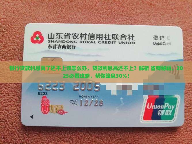 银行贷款利息高了还不上该怎么办