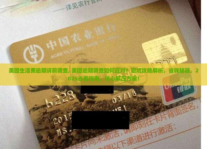 美团生活费逾期诉前调查