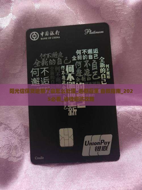 阳光信保贷逾期了会怎么处理