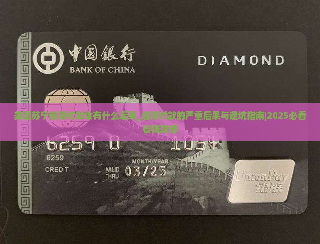 美团苏宁逾期付款会有什么后果 美团苏宁逾期付款会有什么后果
