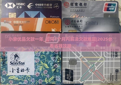 小象优品欠款一年 小象优品欠款一年