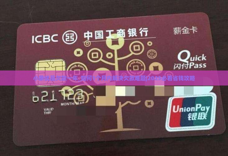 小象优品欠款一年 小象优品欠款一年