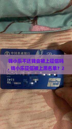 钱小乐不还钱会被上征信吗