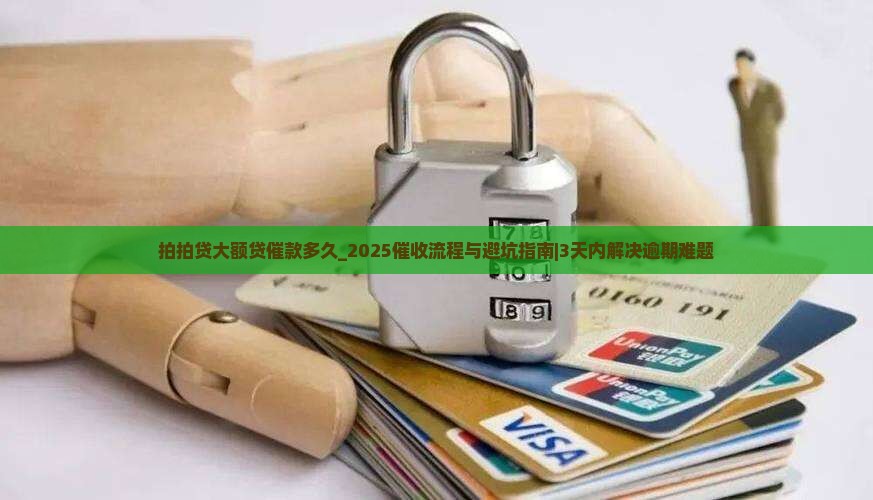 拍拍贷大额贷催款多久
