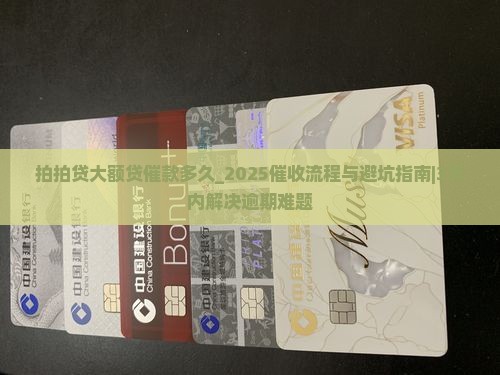 拍拍贷大额贷催款多久