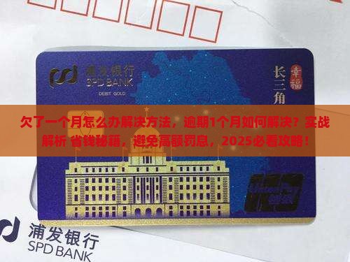 欠了白条一个月怎么办解决方法