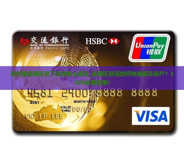 支付宝逾期还完了冻结怎么解冻
