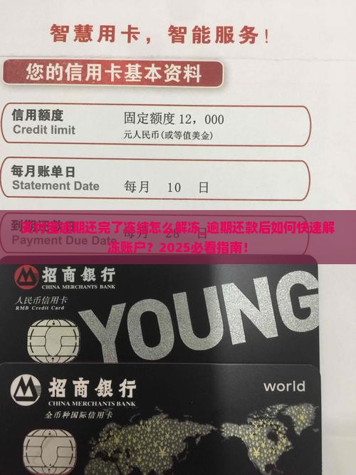 支付宝逾期还完了冻结怎么解冻