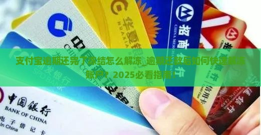 支付宝逾期还完了冻结怎么解冻