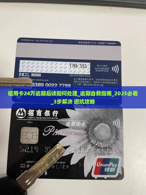 信用卡24万逾期后该如何处理 信用卡24万逾期后该如何处理