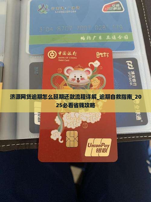 济源网贷逾期怎么办理延期还款流程详解