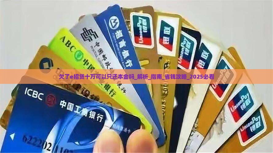 欠了e招贷十万可以只还本金吗如何处理