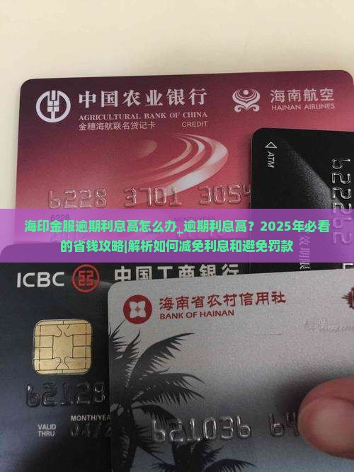 海印金服逾期利息高怎么办