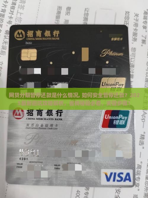 网贷分期暂停还款是什么情况 网贷分期暂停还款是什么情况