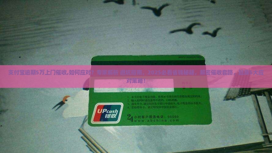 支付宝逾期5万上门催收