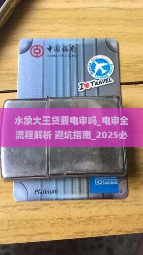 水象大王贷要电审吗怎么操作