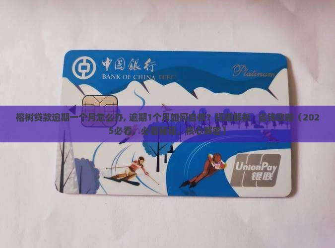 榕树贷款逾期一个月怎么办