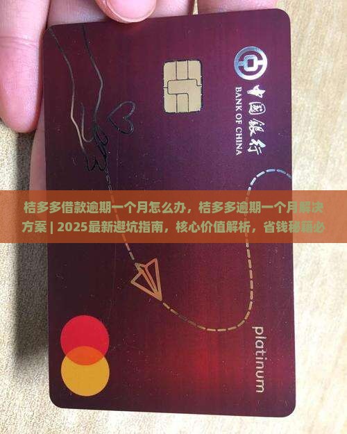 桔多多借款逾期一个月怎么办