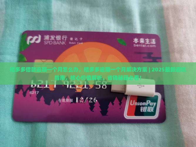 桔多多借款逾期一个月怎么办