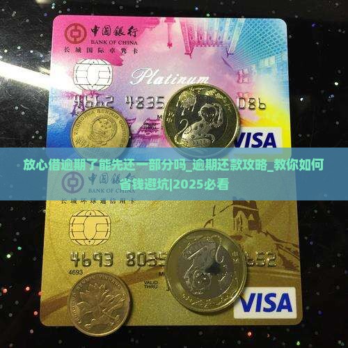 放心借逾期了能先还一部分吗