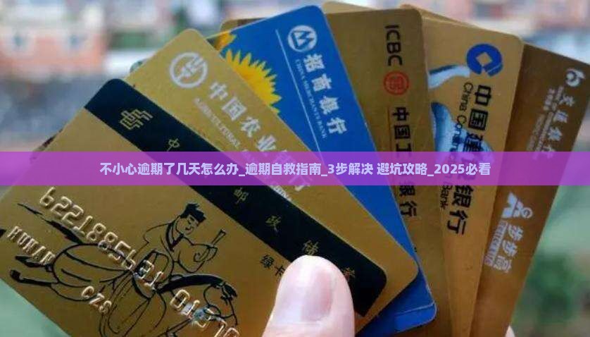 不小心逾期了几天怎么办