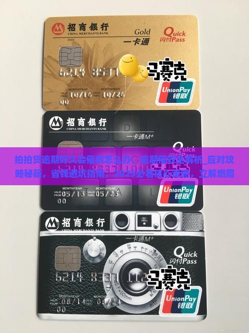 拍拍贷逾期好久会催收怎么办