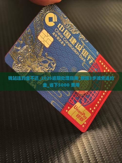 钱站违约金不还