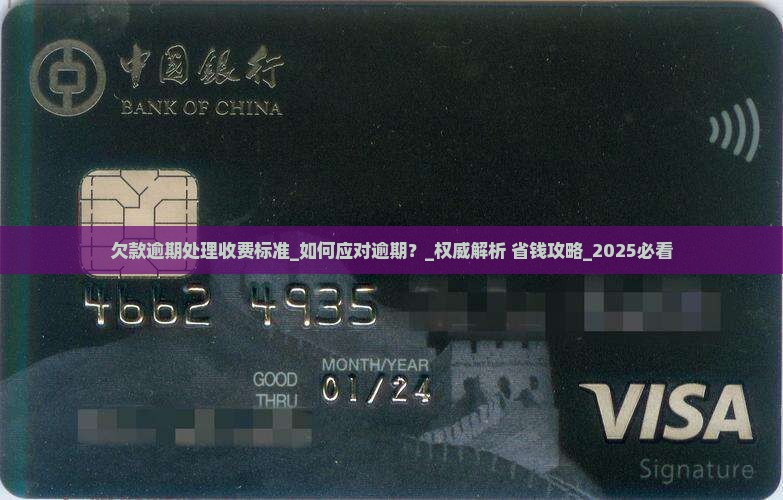 欠款逾期处理收费标准