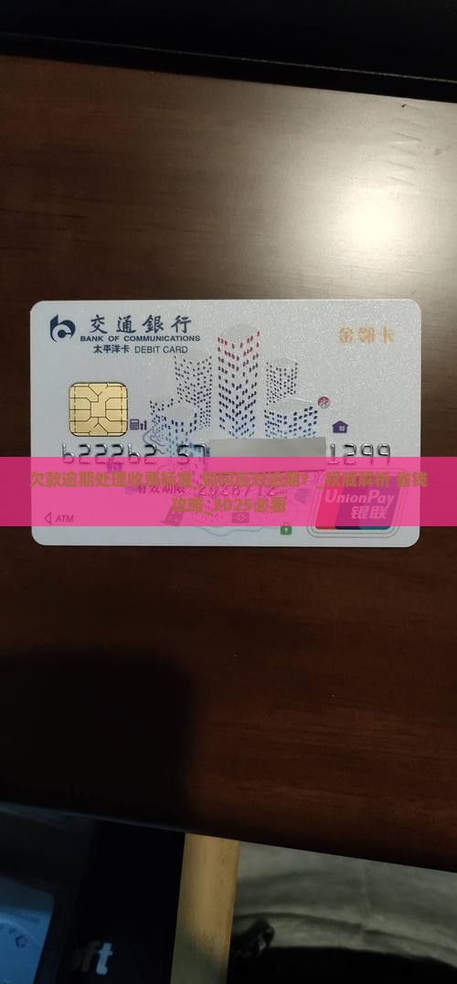 欠款逾期处理收费标准