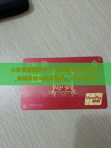 小芽贷逾期还不上