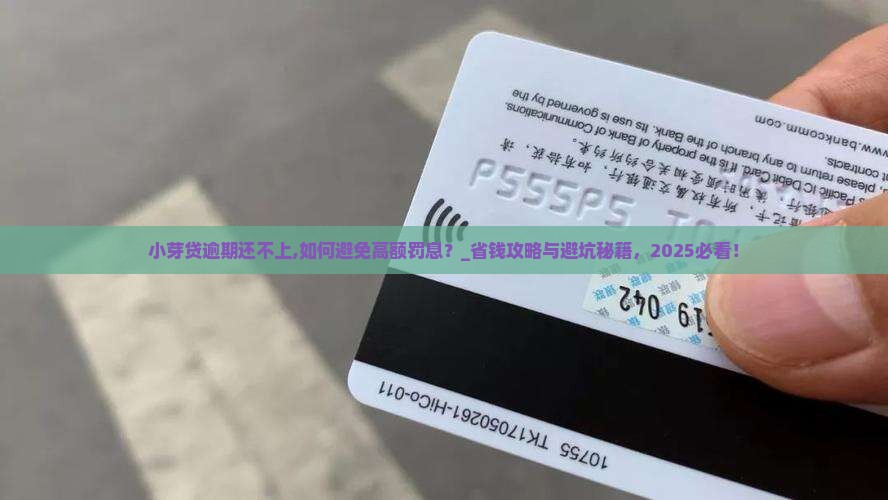 小芽贷逾期还不上