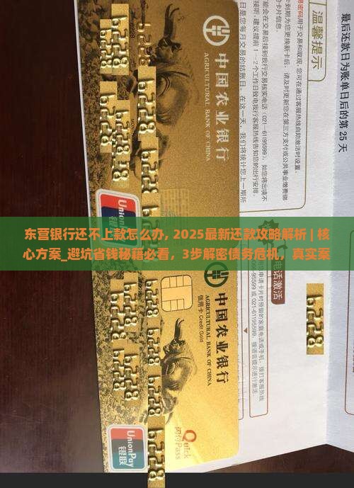 东营银行还不上款怎么办