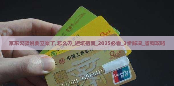 京东白条欠款说要立案了怎么办