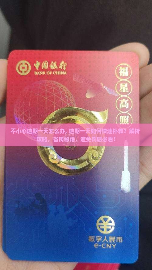 360借条不小心逾期一天怎么办