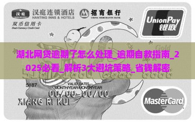 湖北网贷逾期了怎么处理最新方法