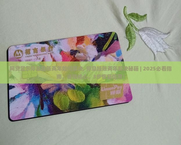 网贷显示停息挂账两年如何解决