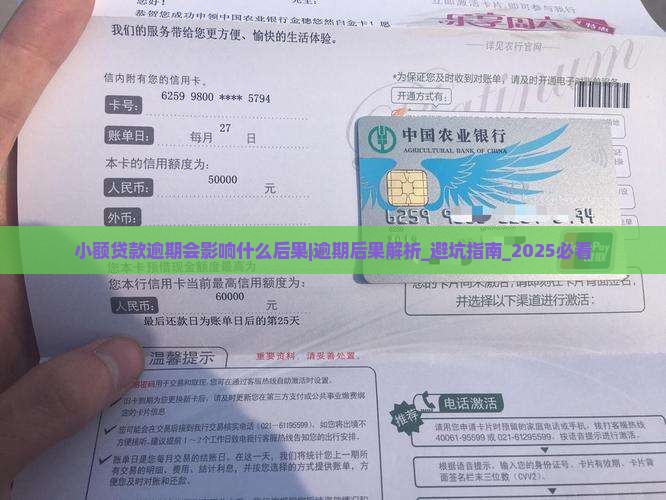 小额贷款逾期会影响什么后果