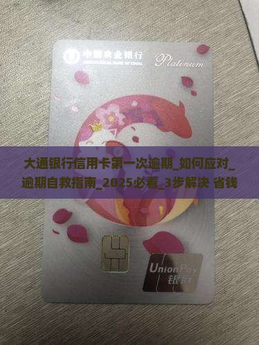 大通银行信用卡第一次逾期